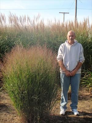 Photo courtesy of Walters Gardens, Inc.
