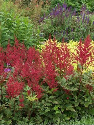 Photo courtesy Walters Gardens, Inc.