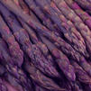 Asparagus officinalis 'Purple Passion'