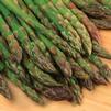 Asparagus officinalis 'Jersey Giant'