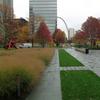 The Citygarden Features Custom Grown Perennials and Ground Covers Furnished by Bohn's Farm