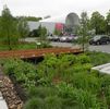 Missouri Botanical Garden East Parking Lot Bioretention BMP Features Custom Grown Herbaceous Native Plants