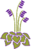 Allium Medusa Allium